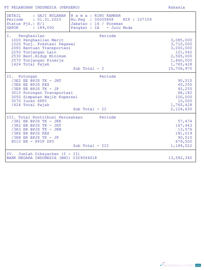 Download Pt pelabuhan indonesia (persero) pay stub in PDF and Word formats Photoshop template